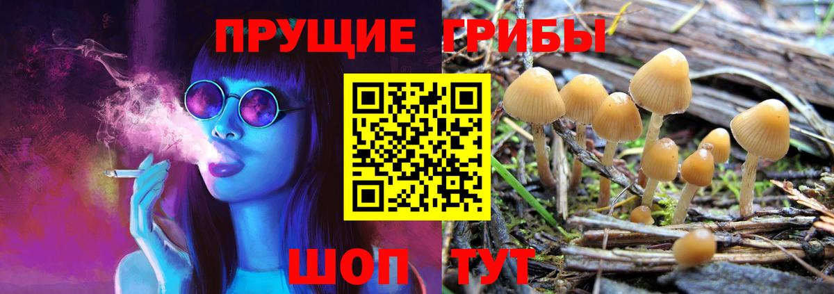 Галлюциногенные грибы мицелий Видное